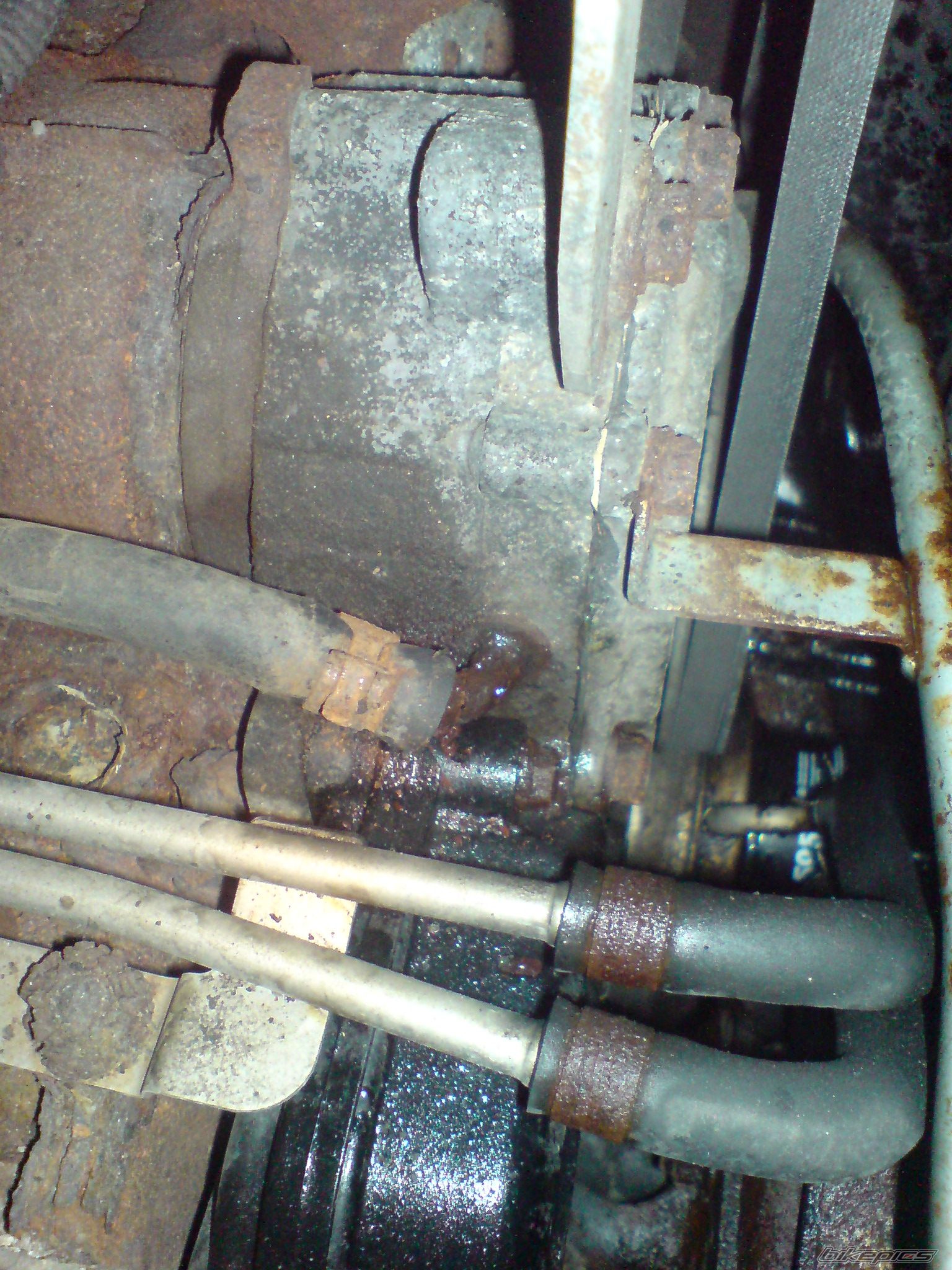 Photo 1646460