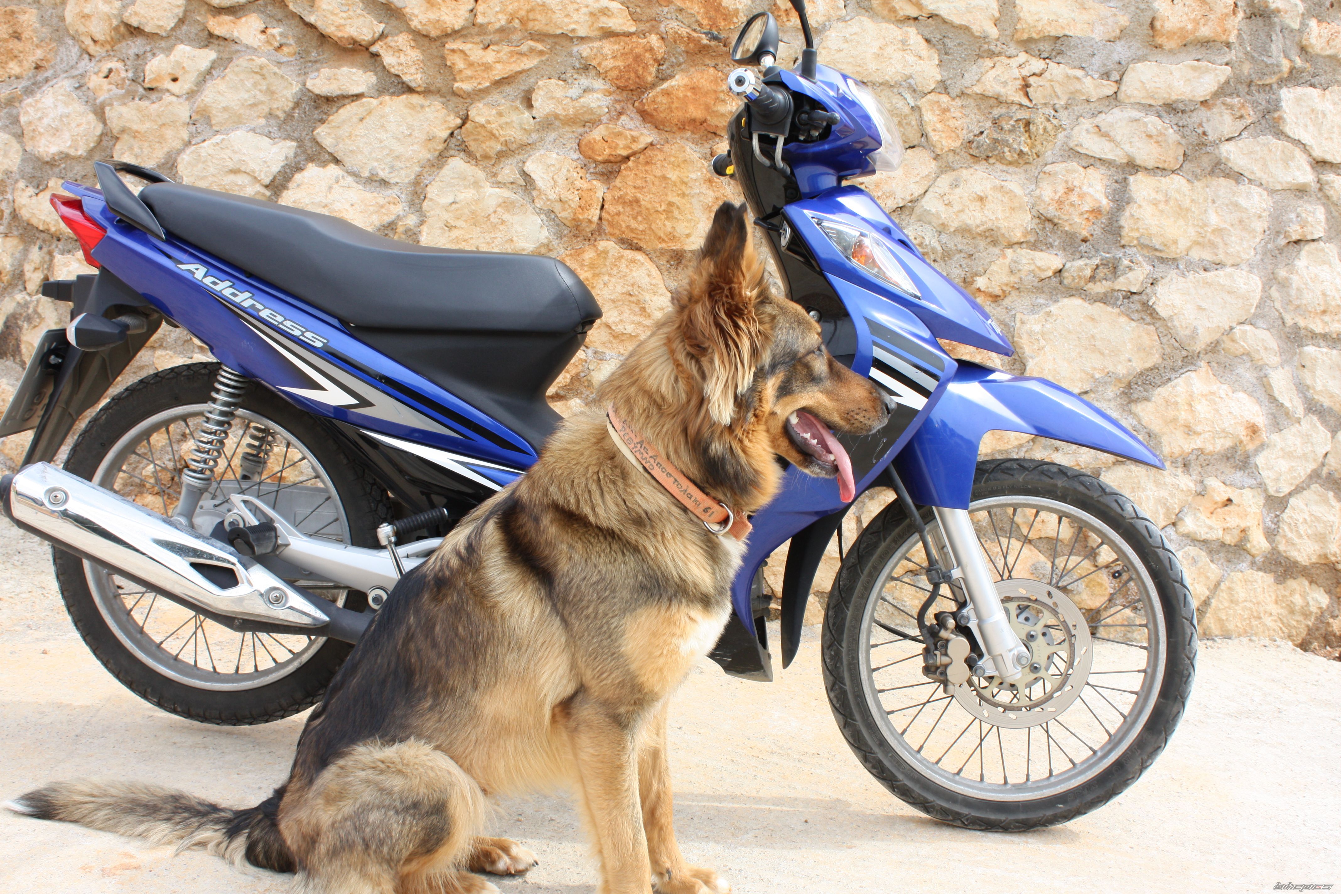 Photo 1646481