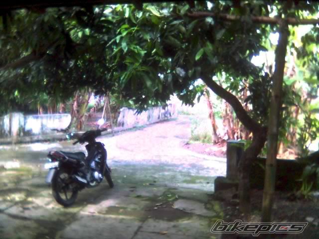 Photo 1646590