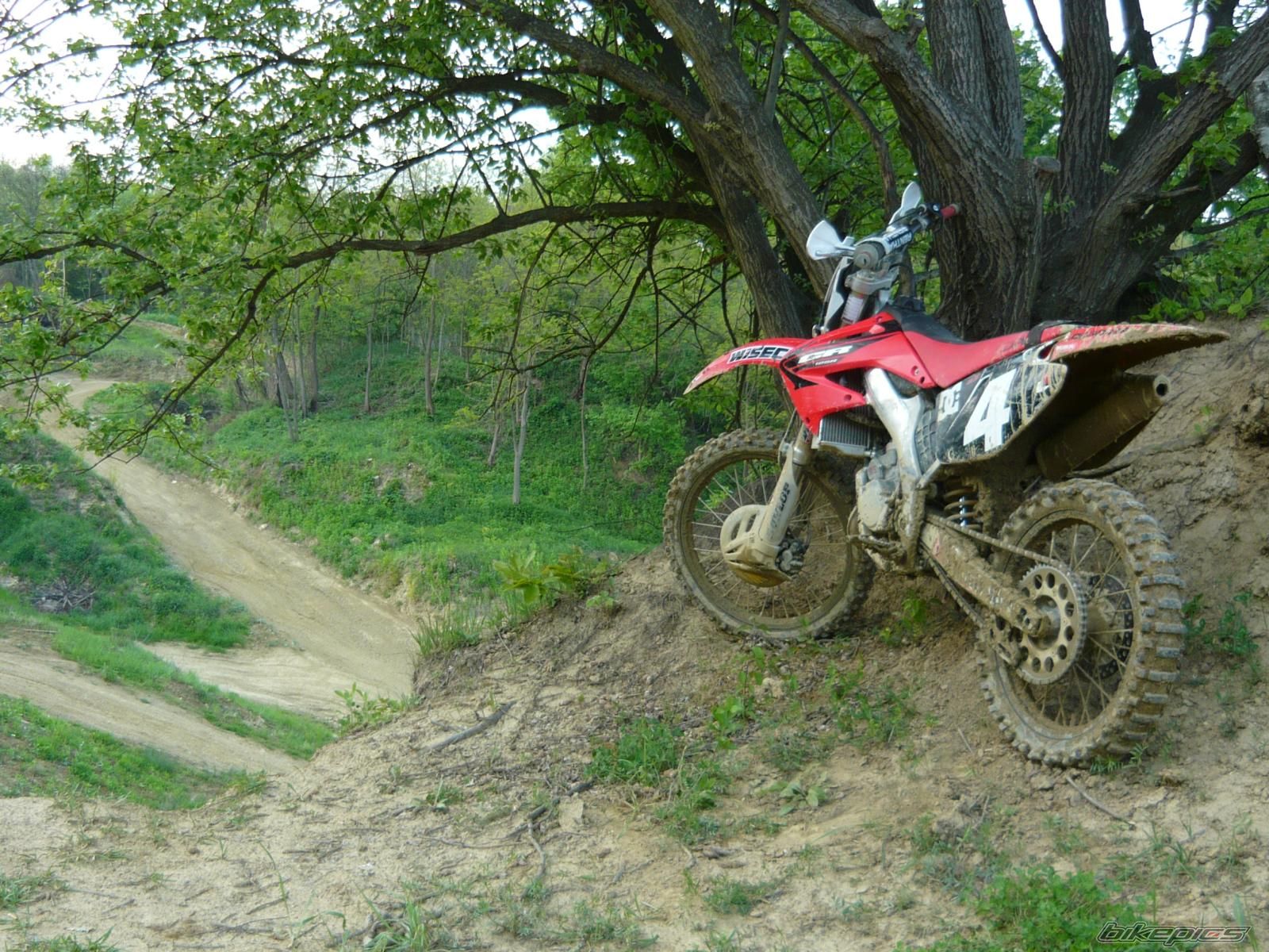 Photo 1646593
