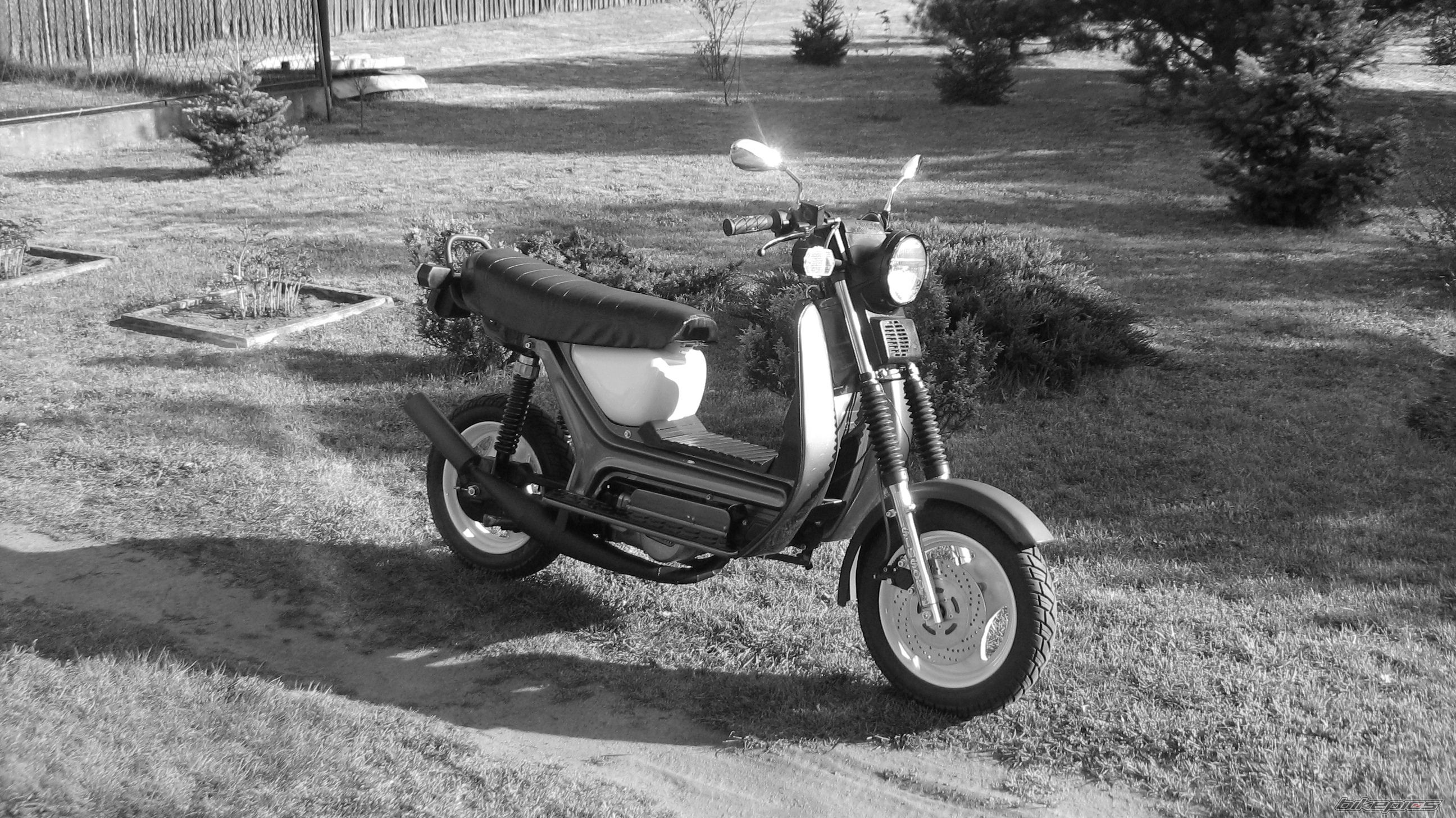 Photo 1646621