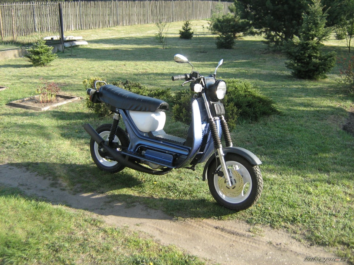 Photo 1646623