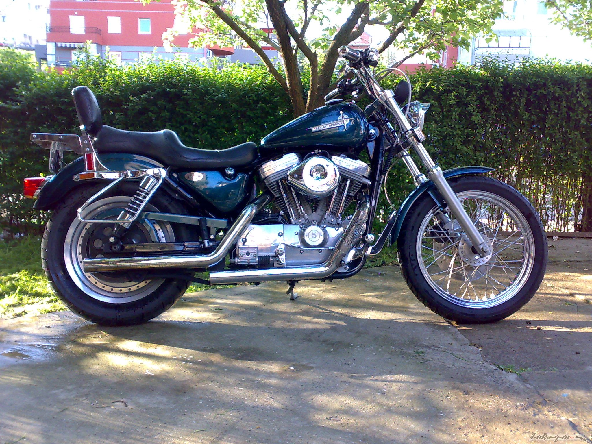 Photo 1646649
