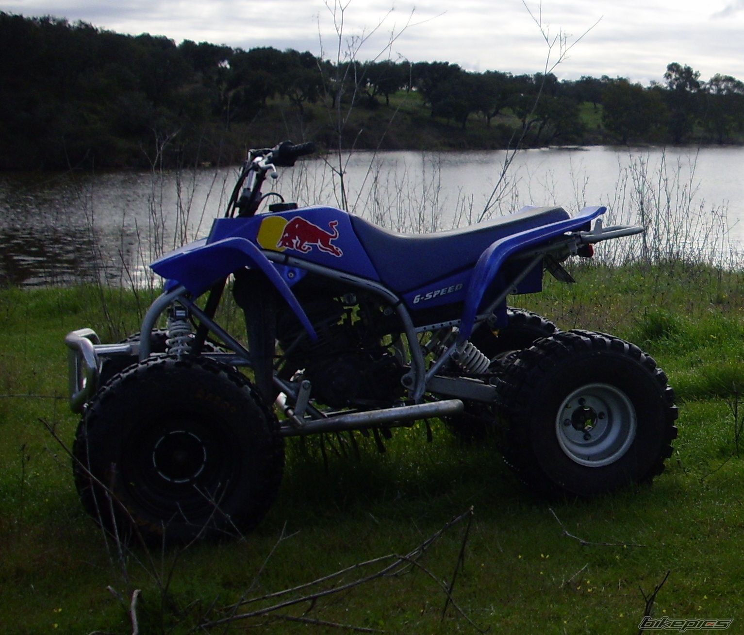 Photo 1646728