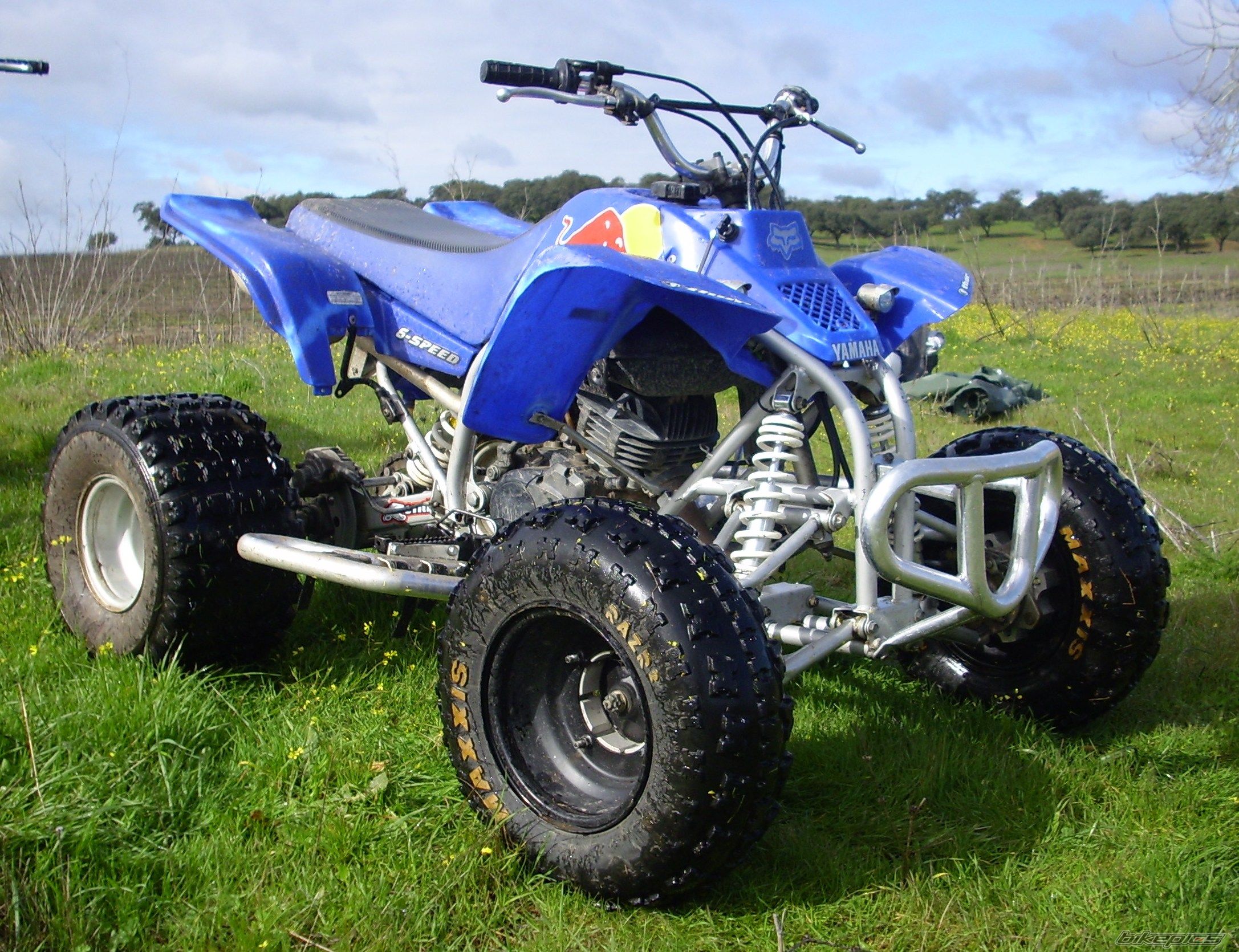 Photo 1646729