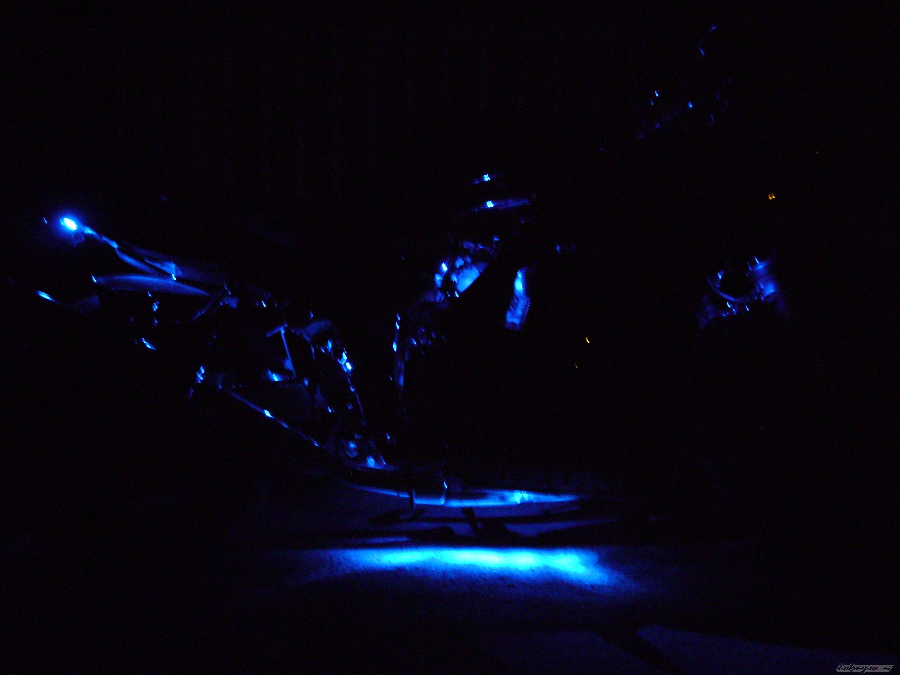 Photo 1646764