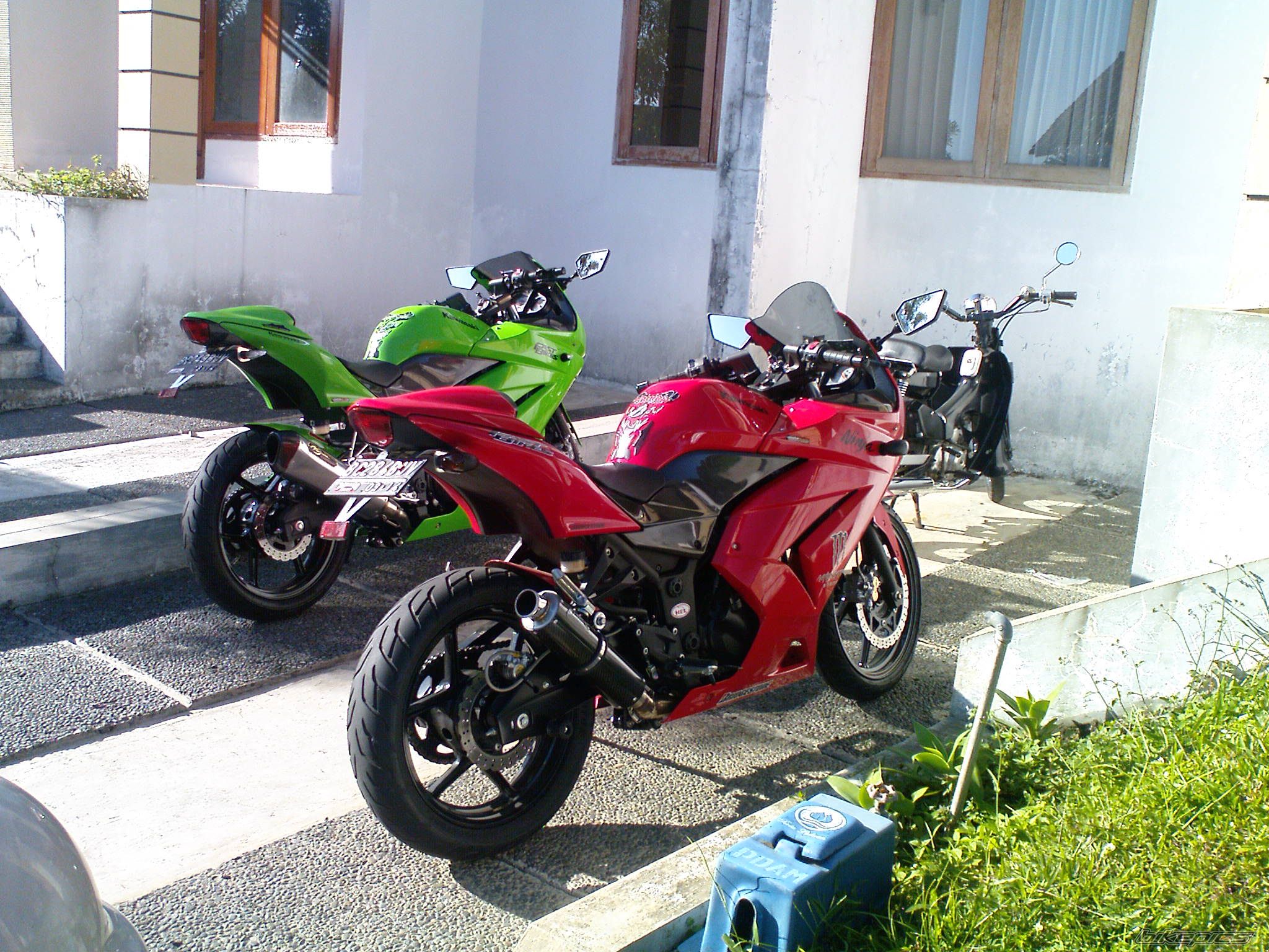 Photo 1646798