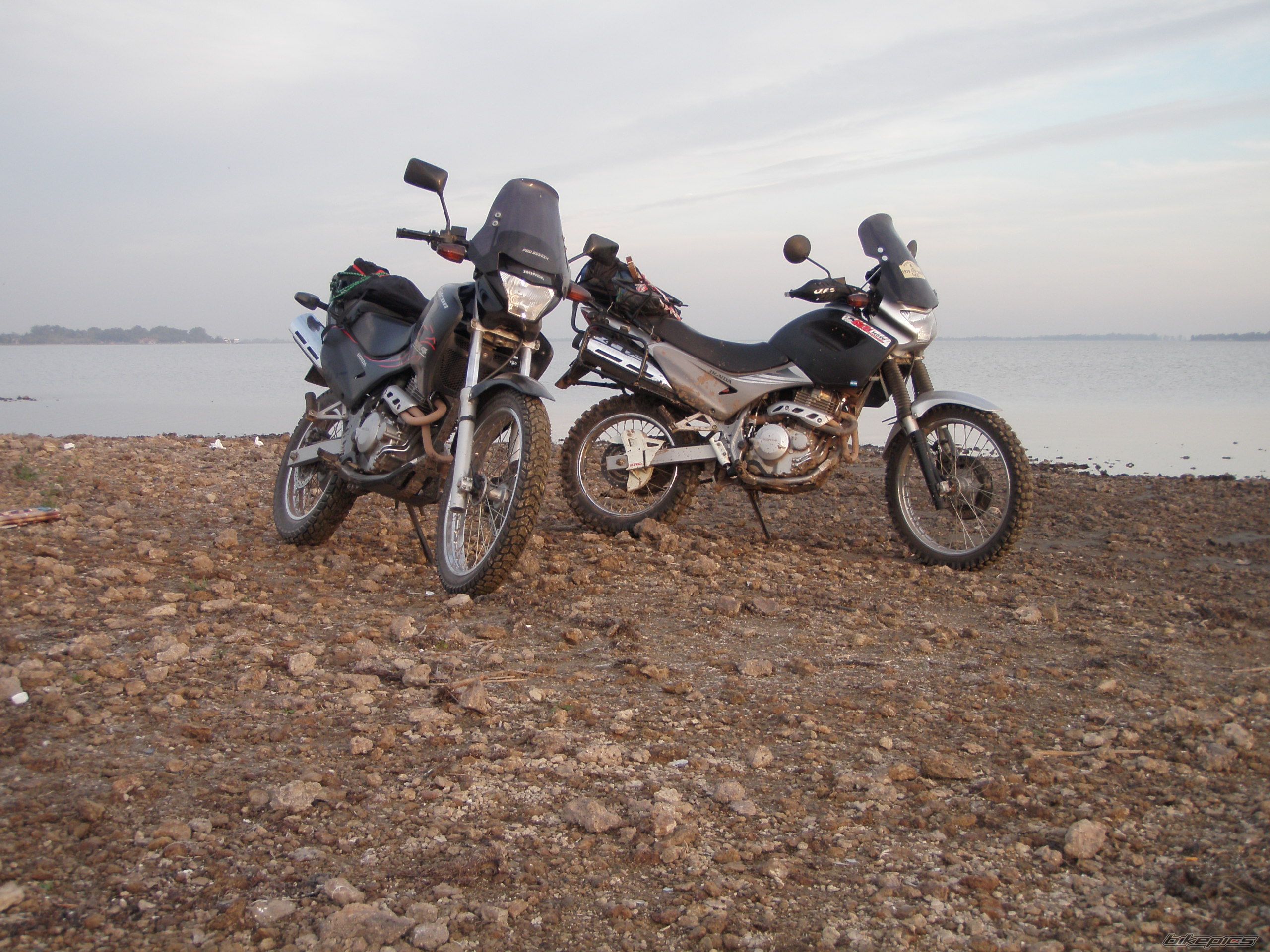 Bike Photo 1646812