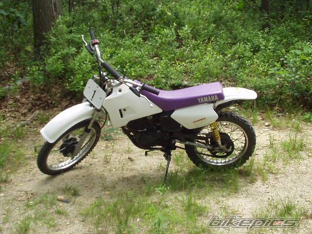 Photo 164686