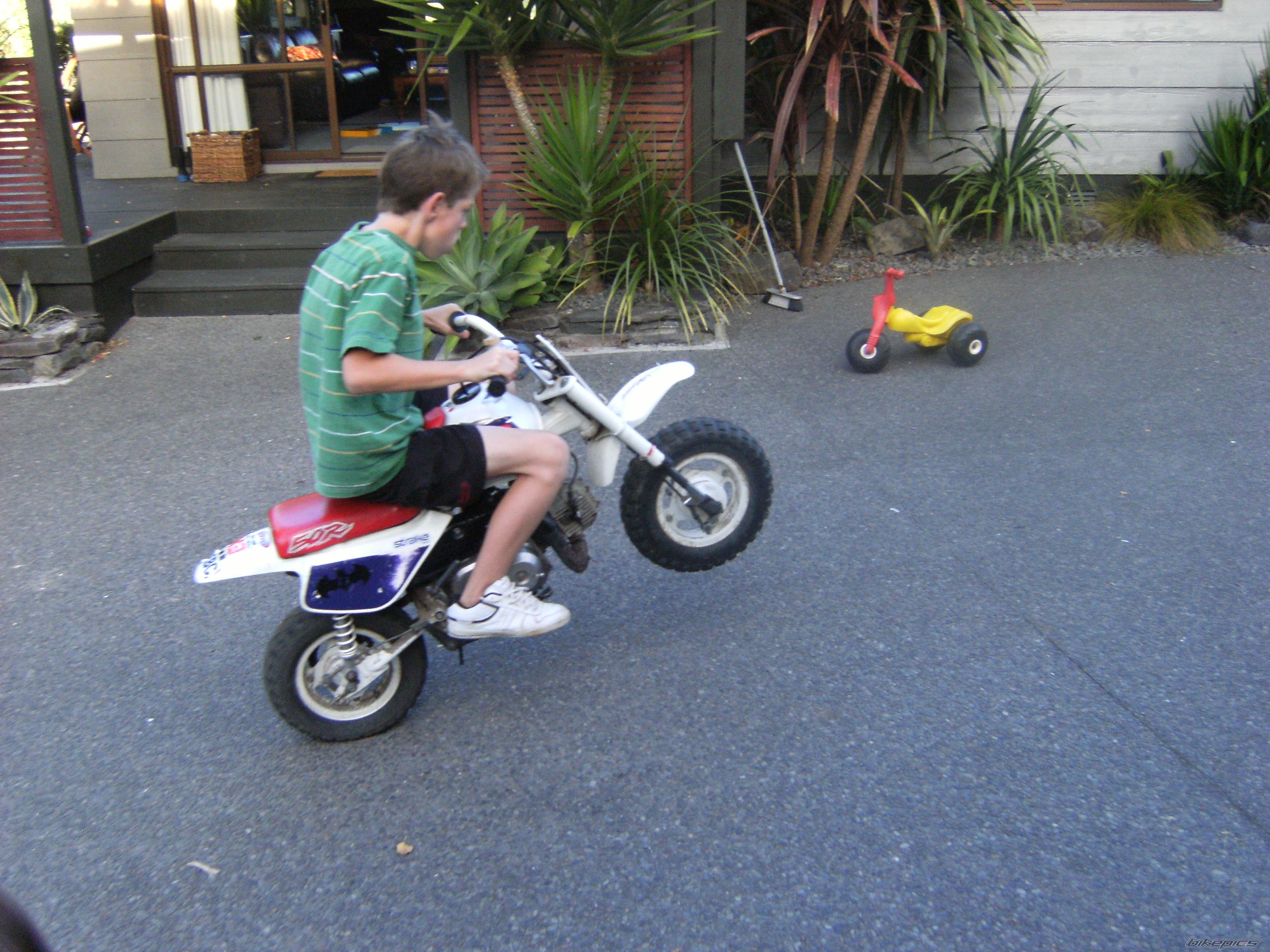 Photo 1646886