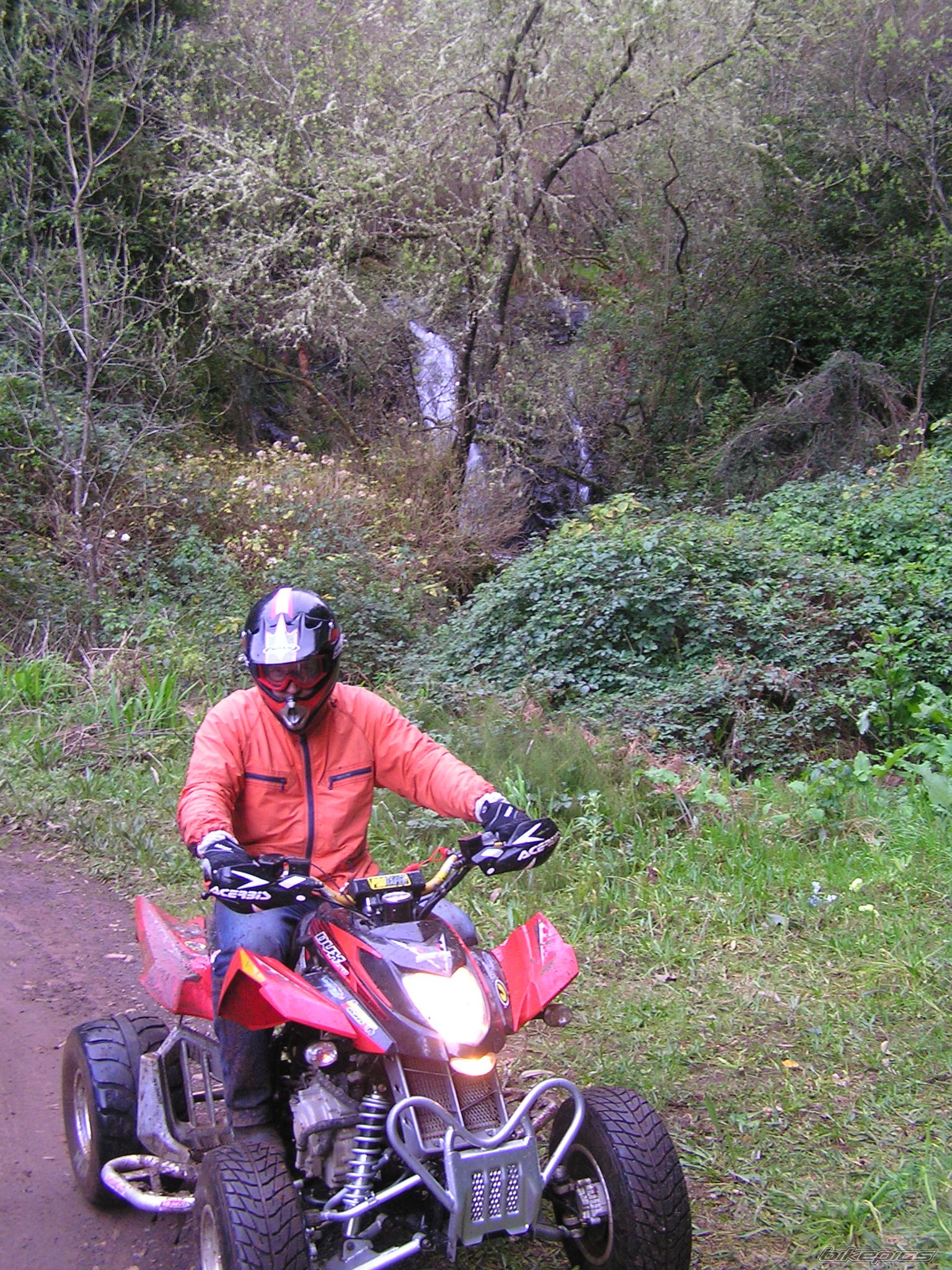 Photo 1646945