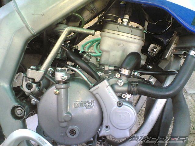 Photo 1646992