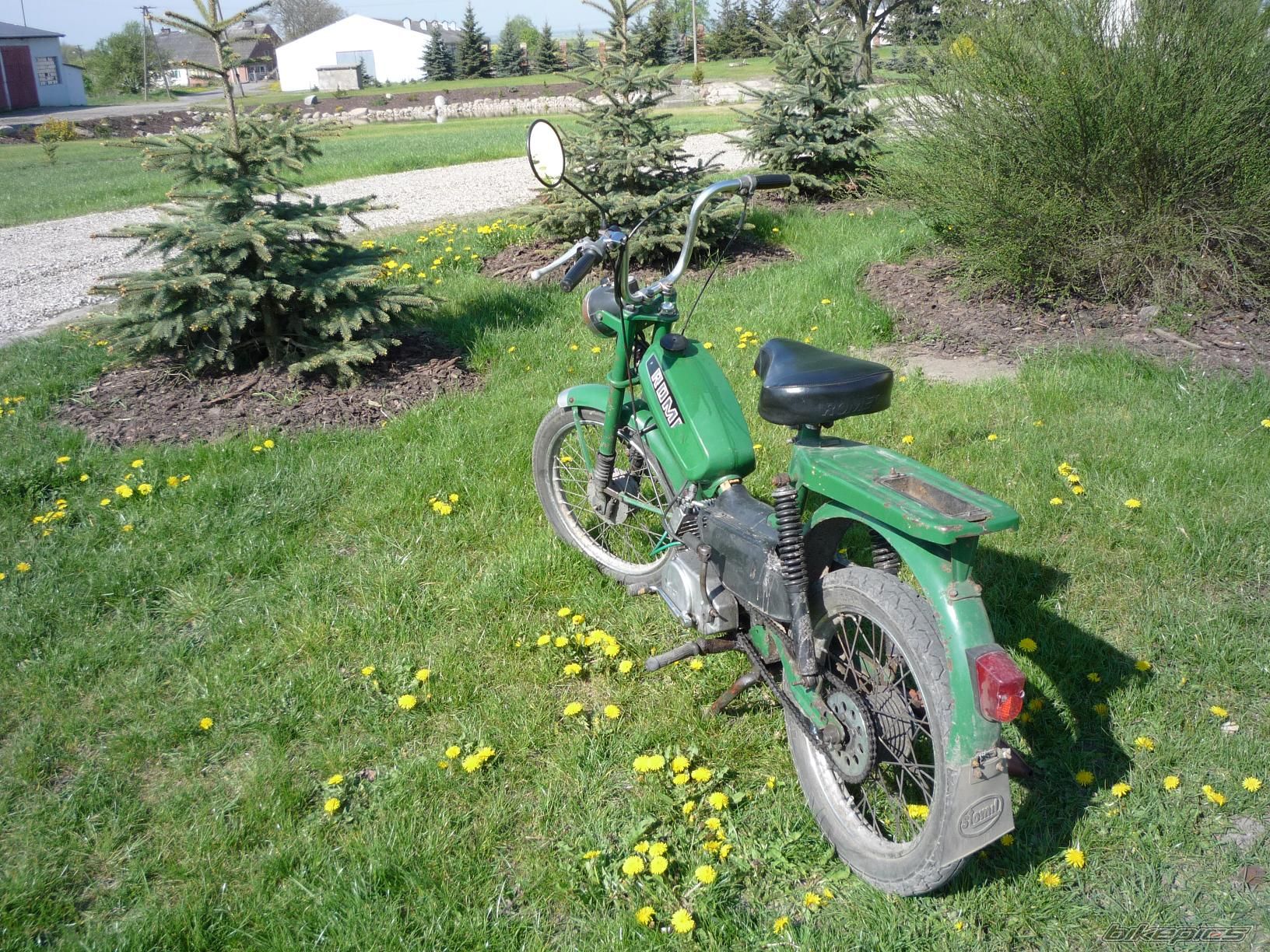 Bike Photo 1647003