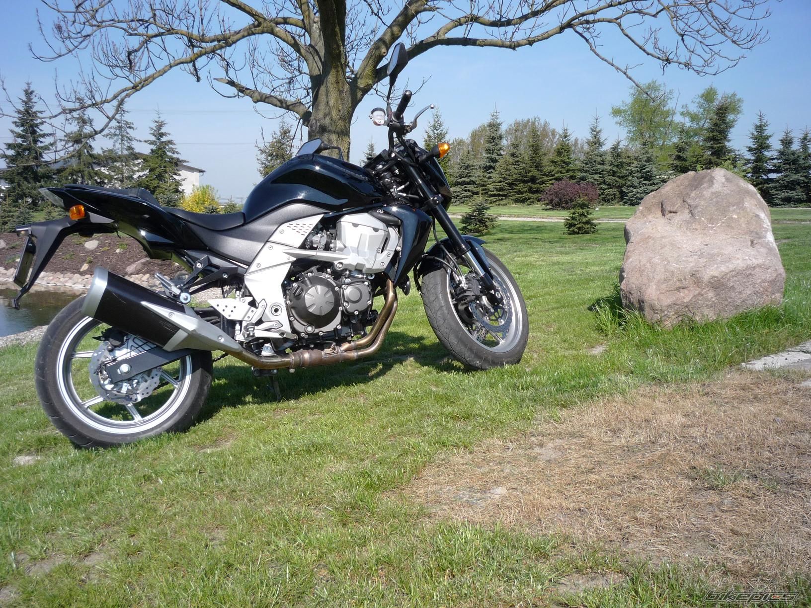 Photo 1647009