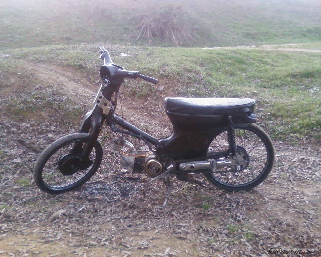 Photo 1647029