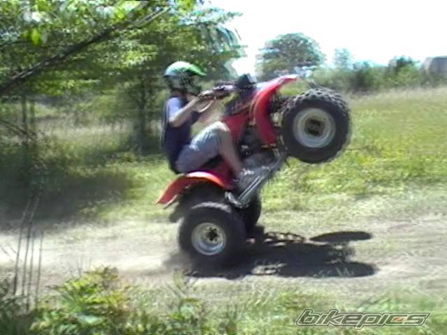 Photo 164703