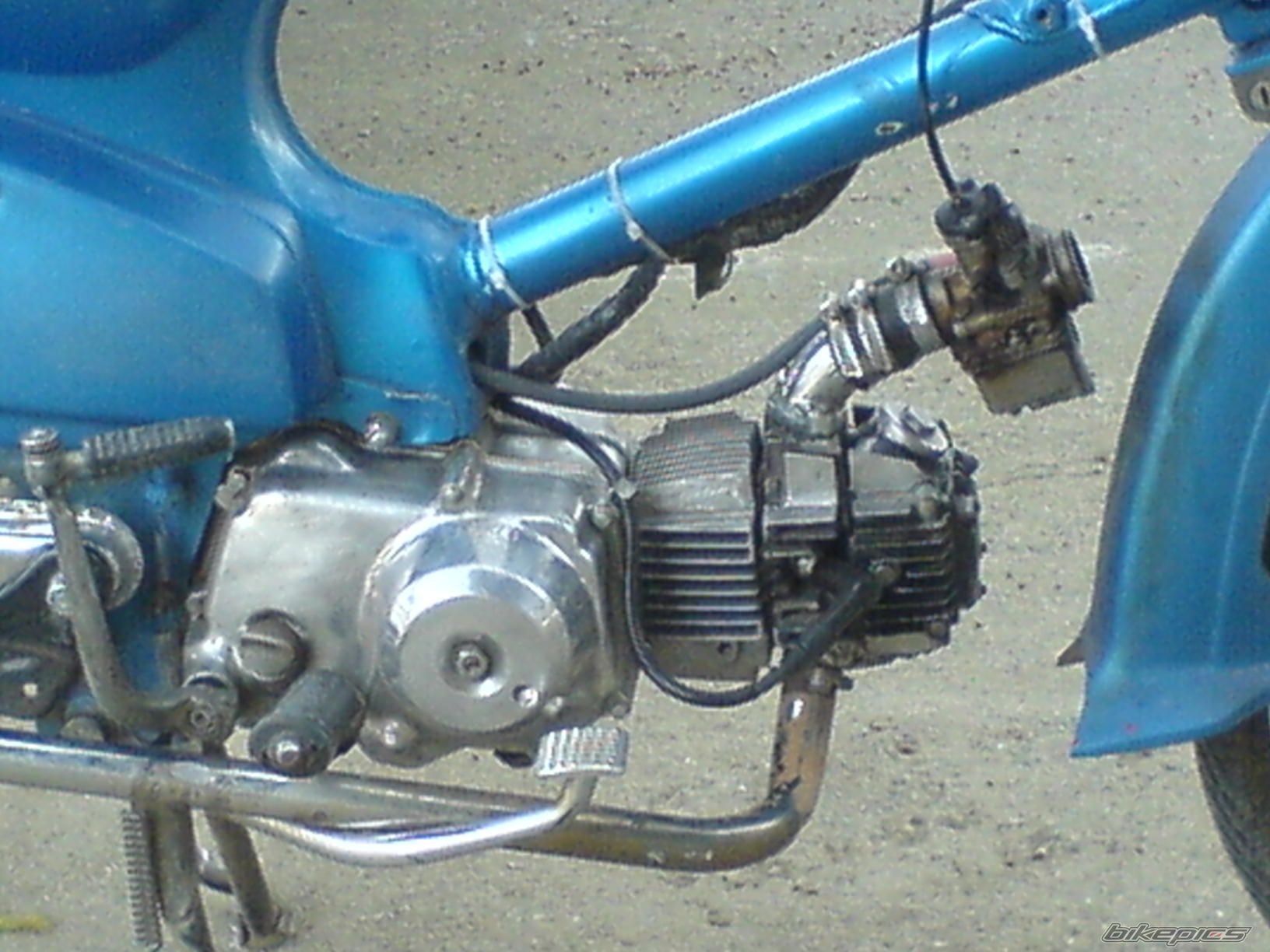 Photo 1647034