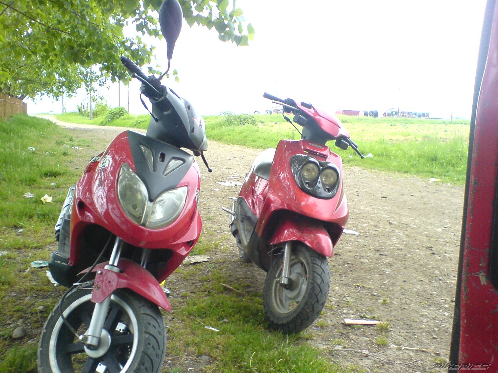 Photo 1647037