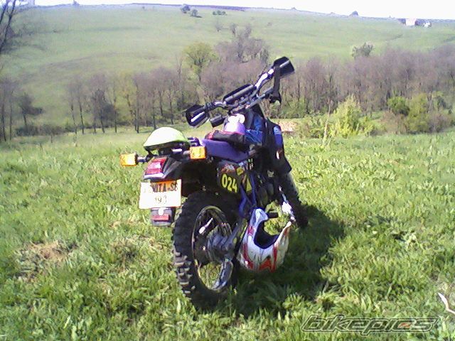 Photo 1647041