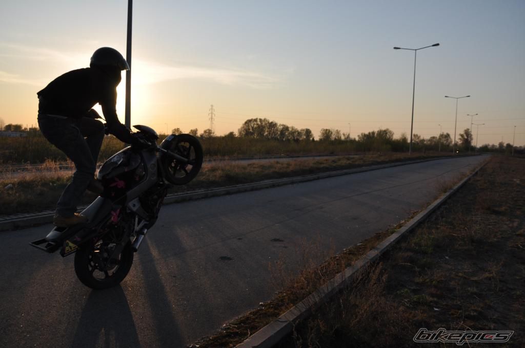 Photo 1647051