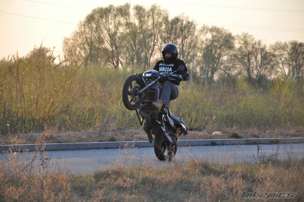 Photo 1647054