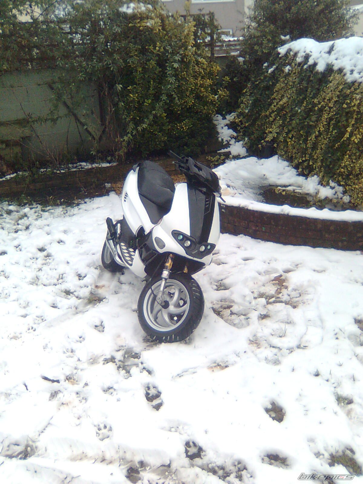 Photo 1647085