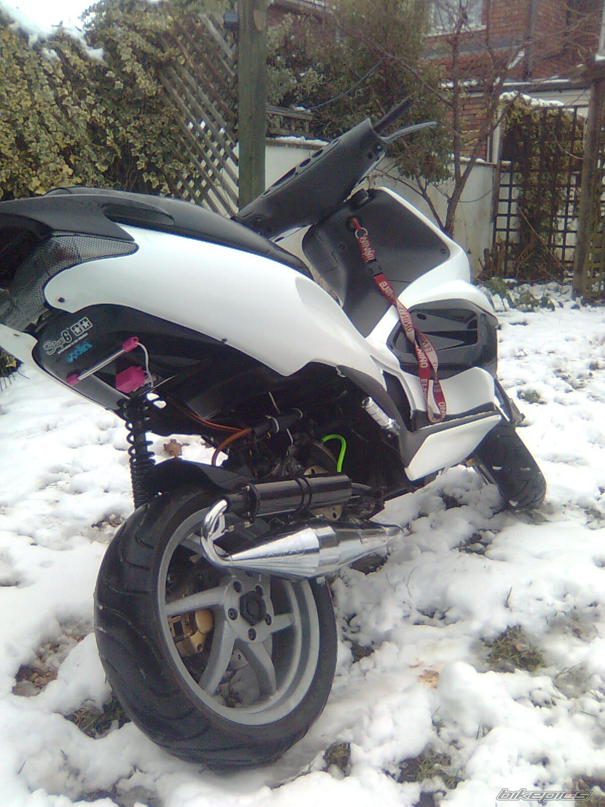 Photo 1647086