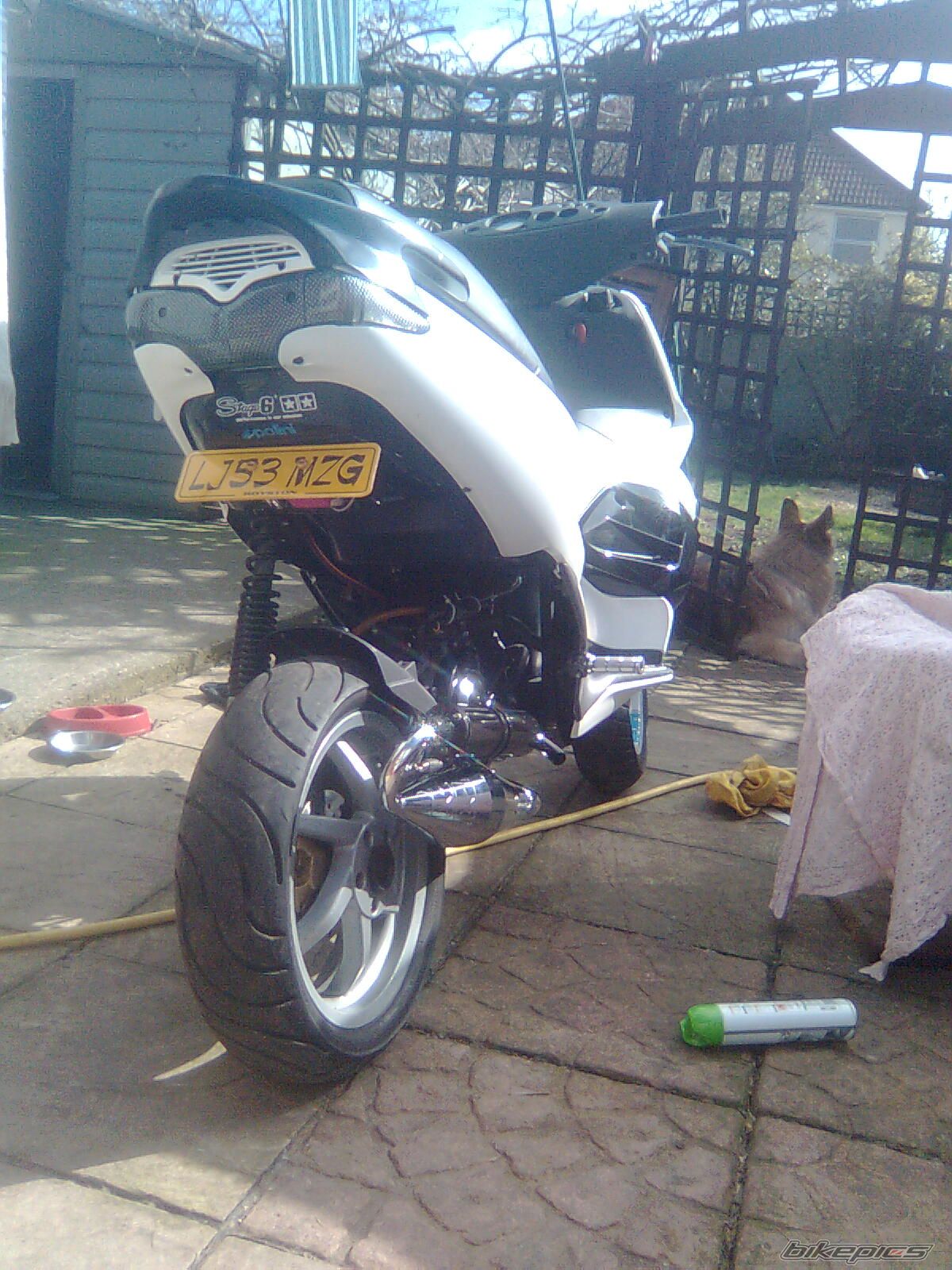 Photo 1647087