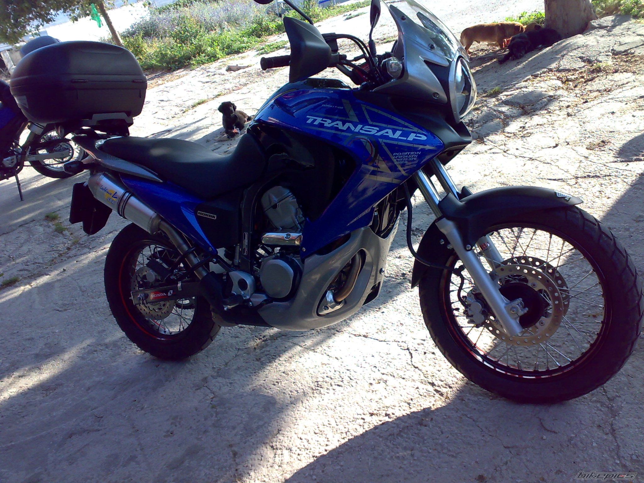 Photo 1647167