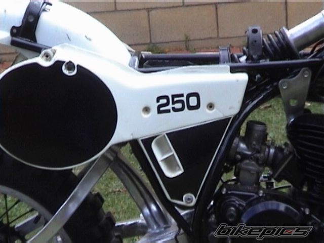 Photo 1647243