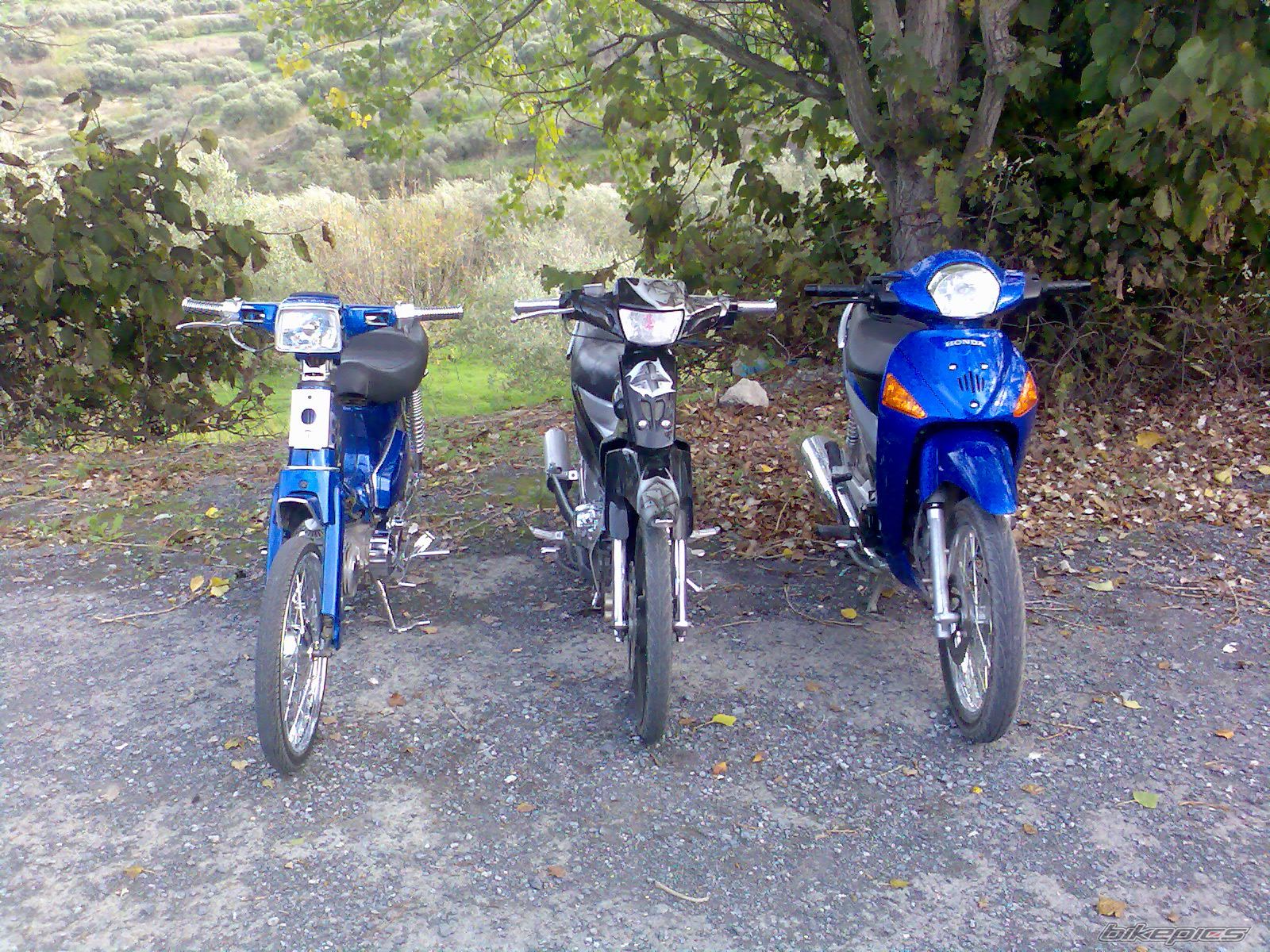 Photo 1647244