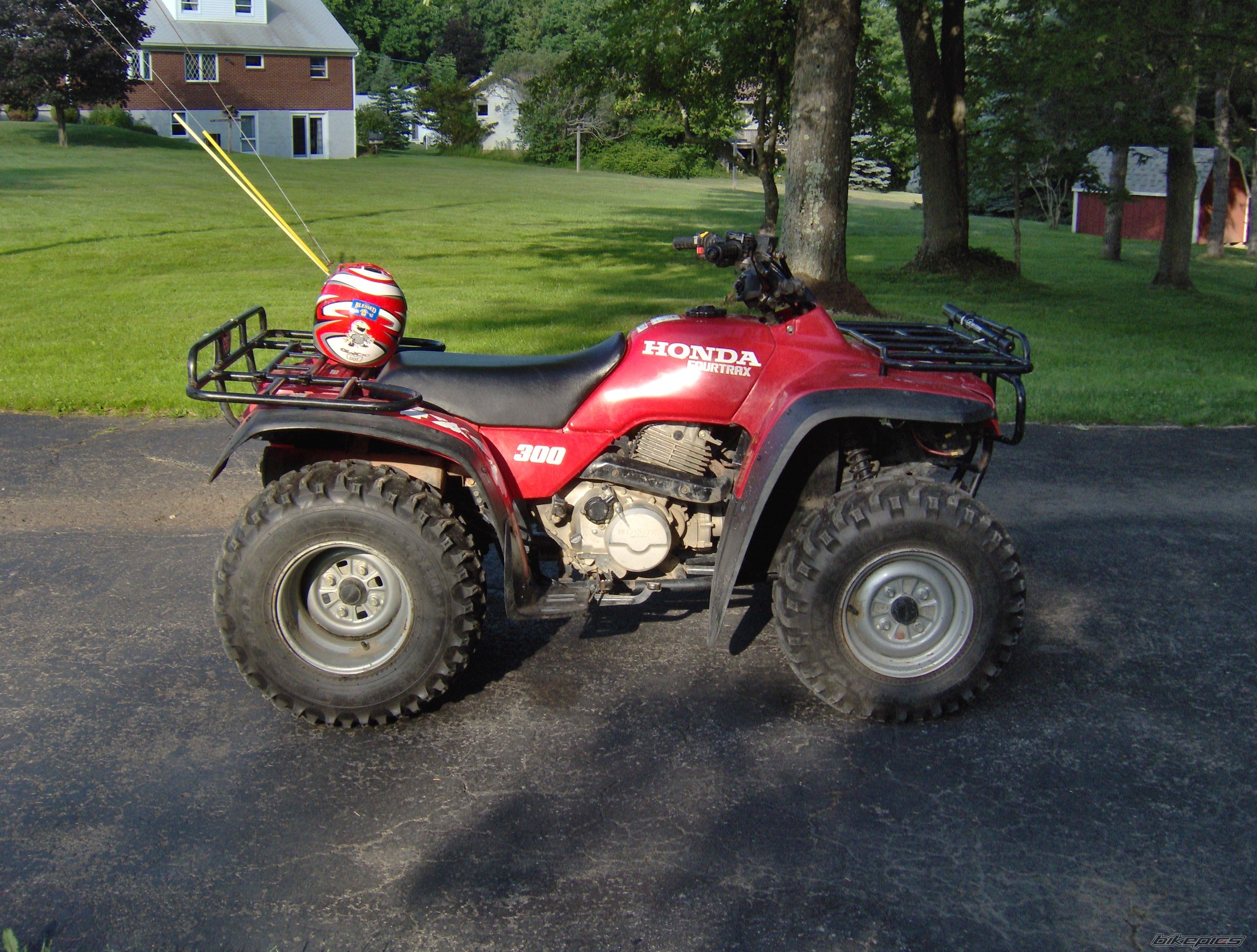 Photo 1647273
