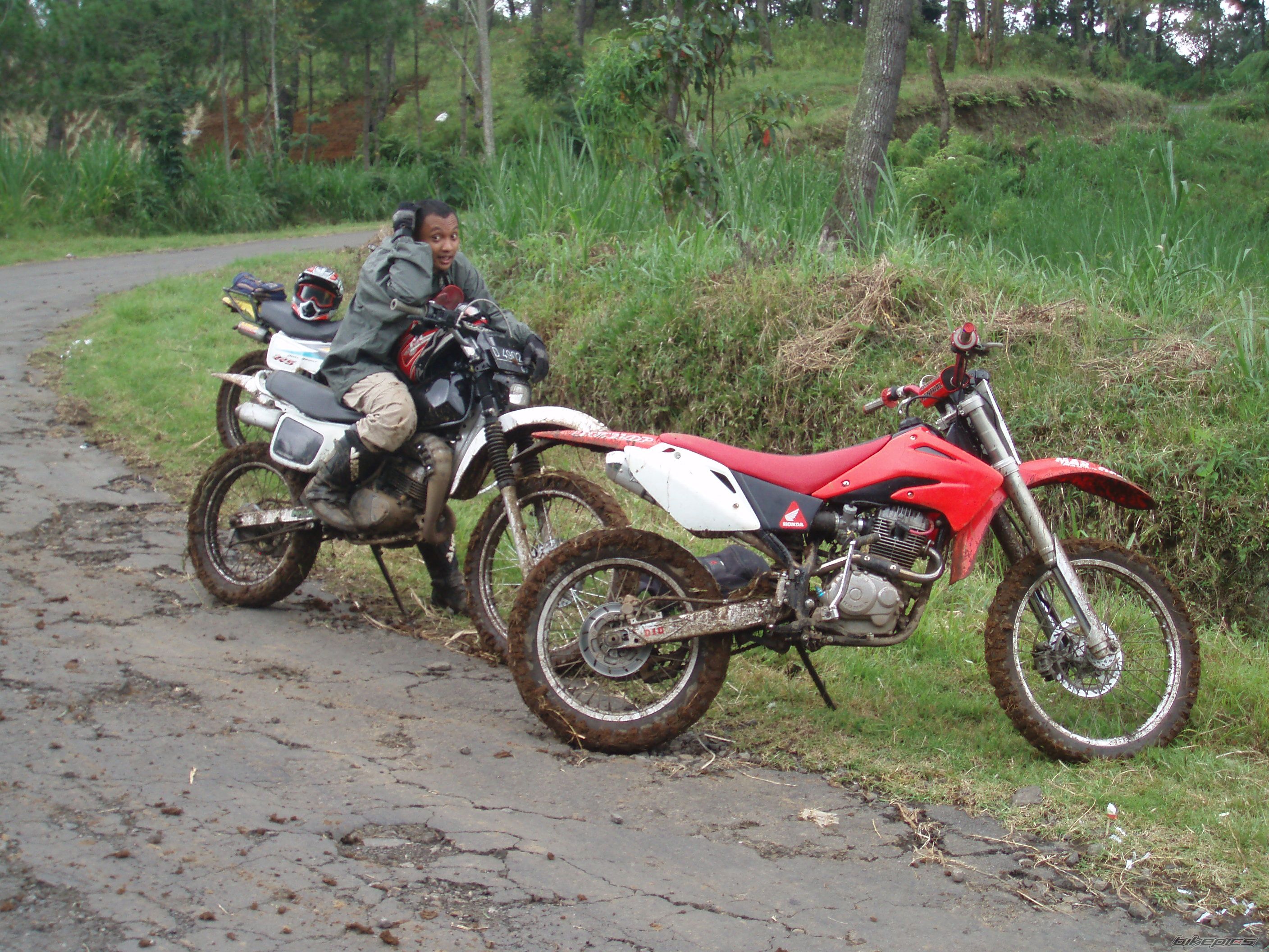 Photo 1647291