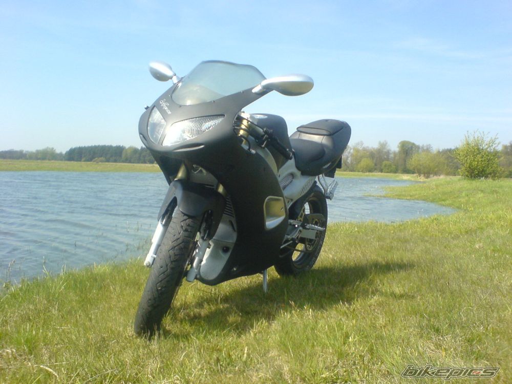 Photo 1647319