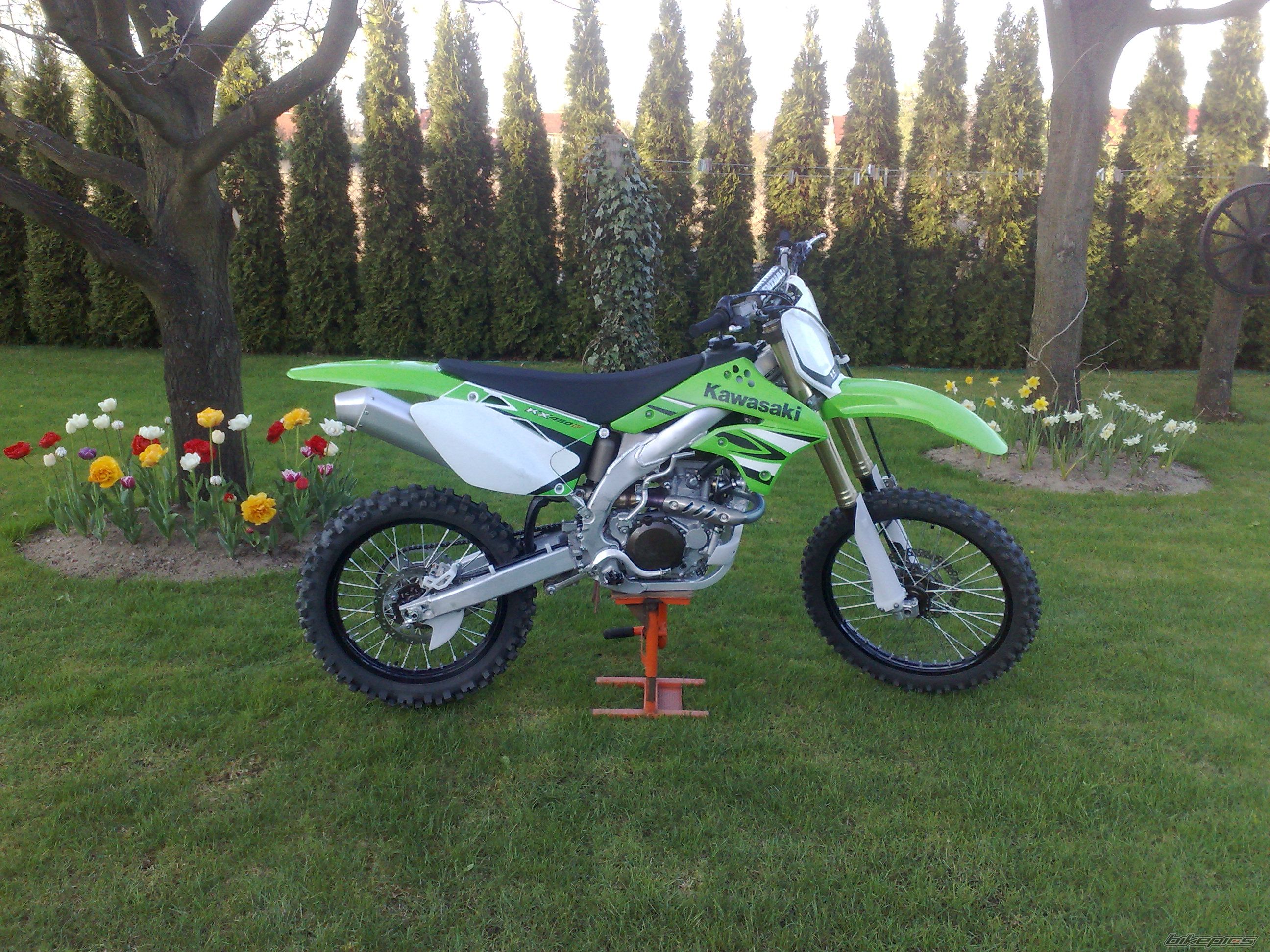 Photo 1647376