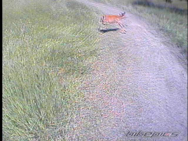 Photo 164739