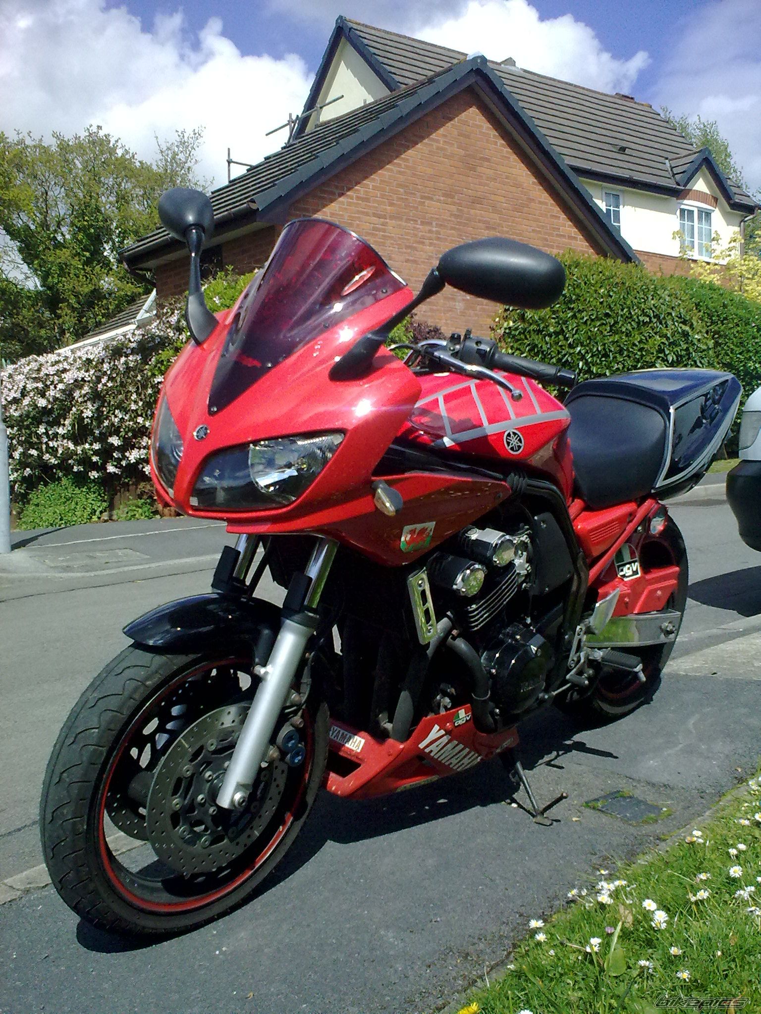 Photo 1647412