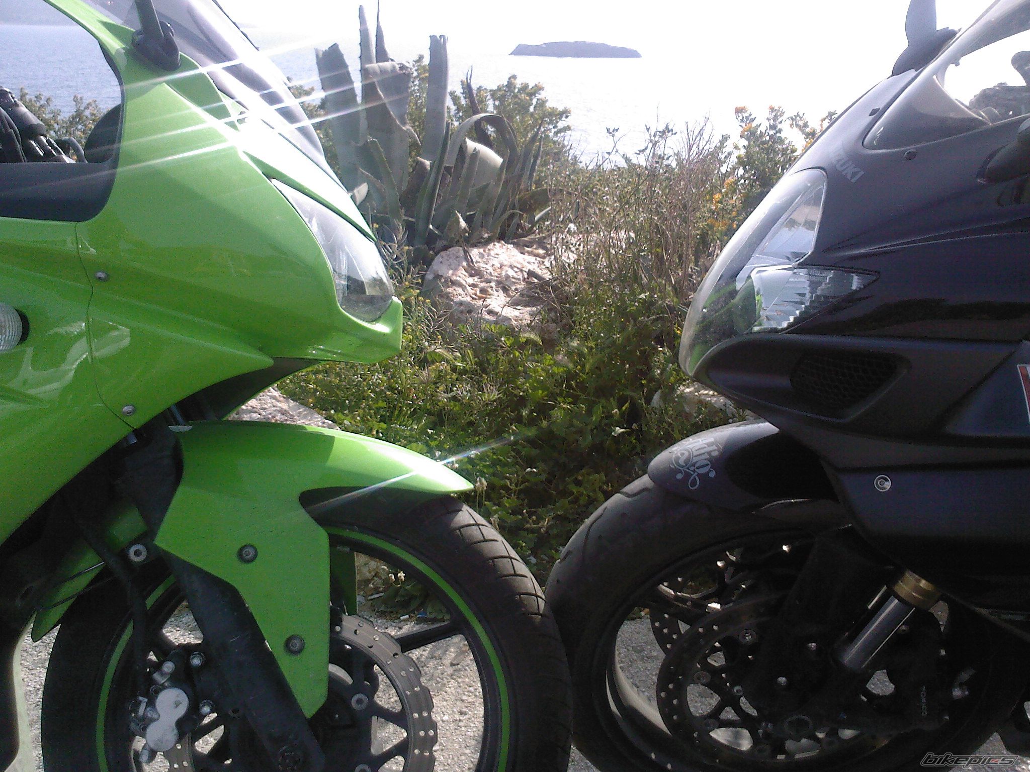 Photo 1647433