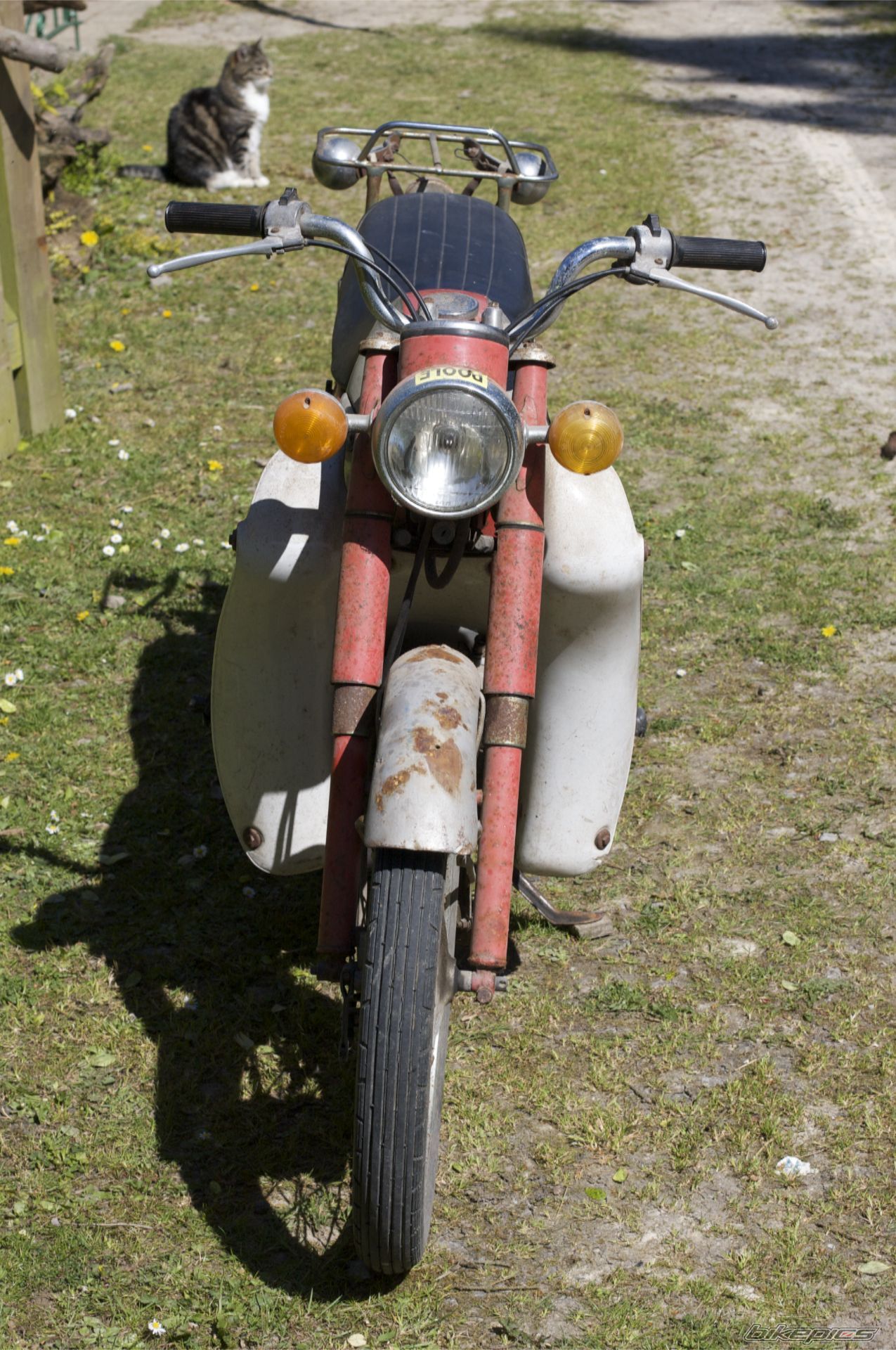Photo 1647436