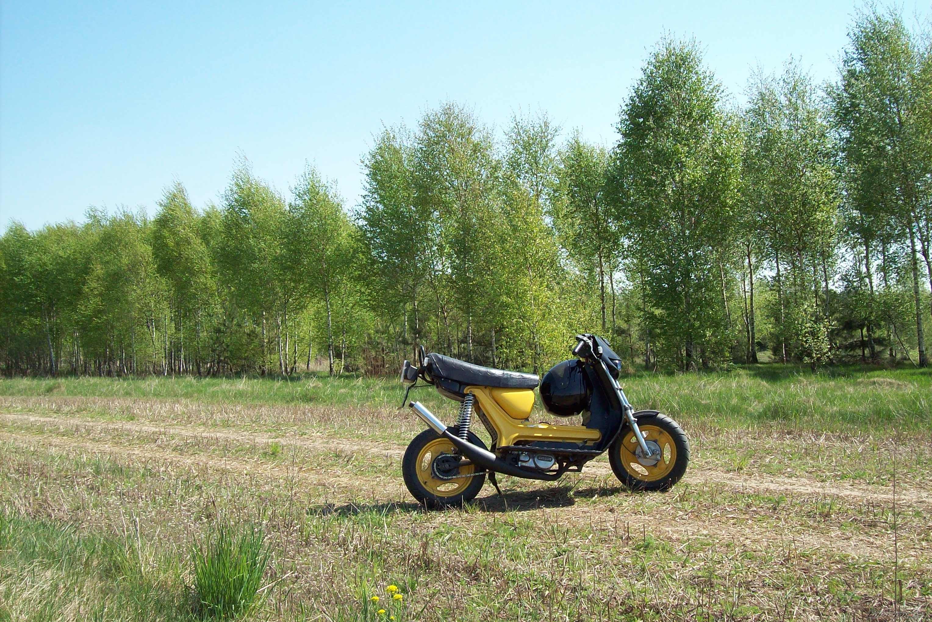Photo 1647494