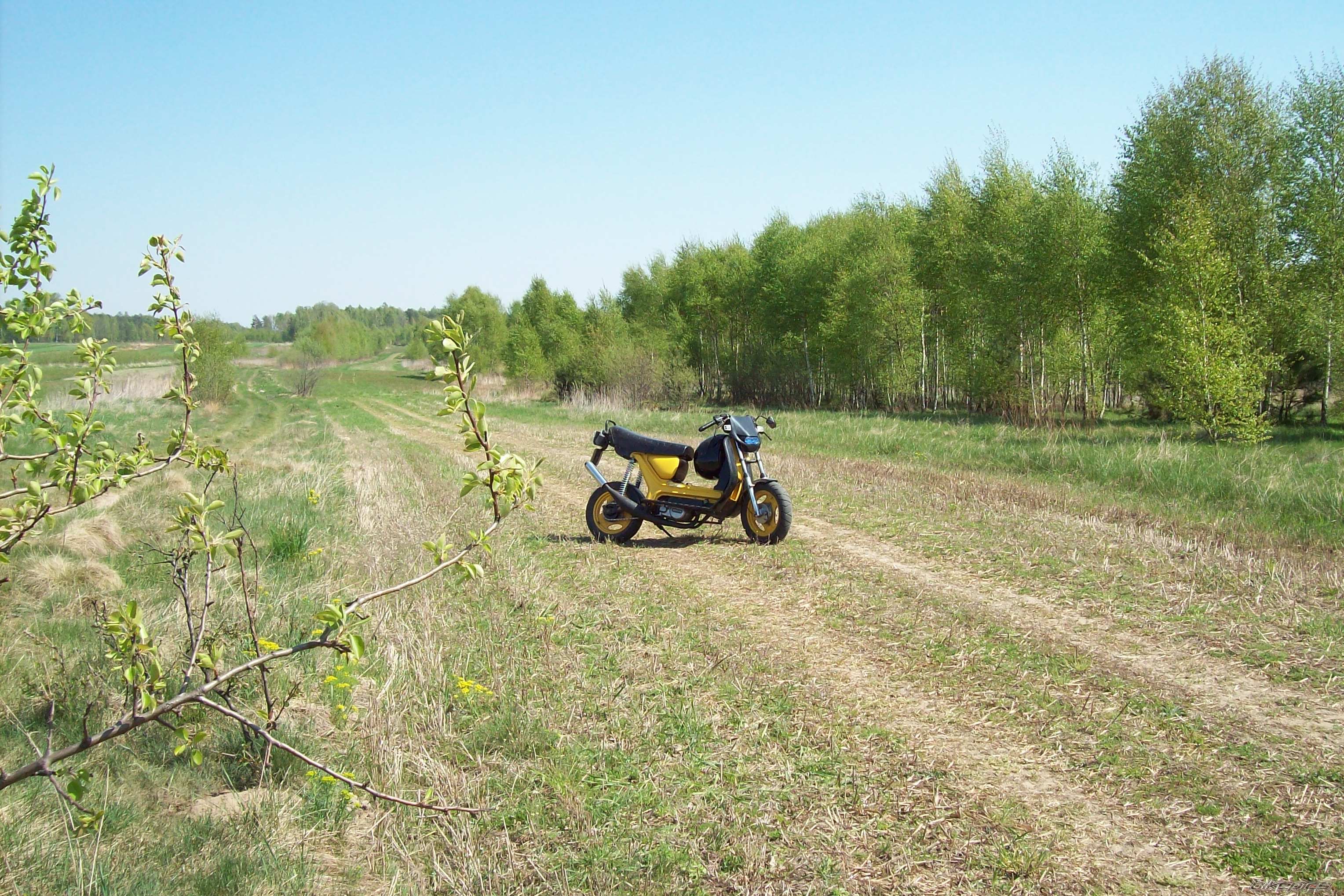 Photo 1647505