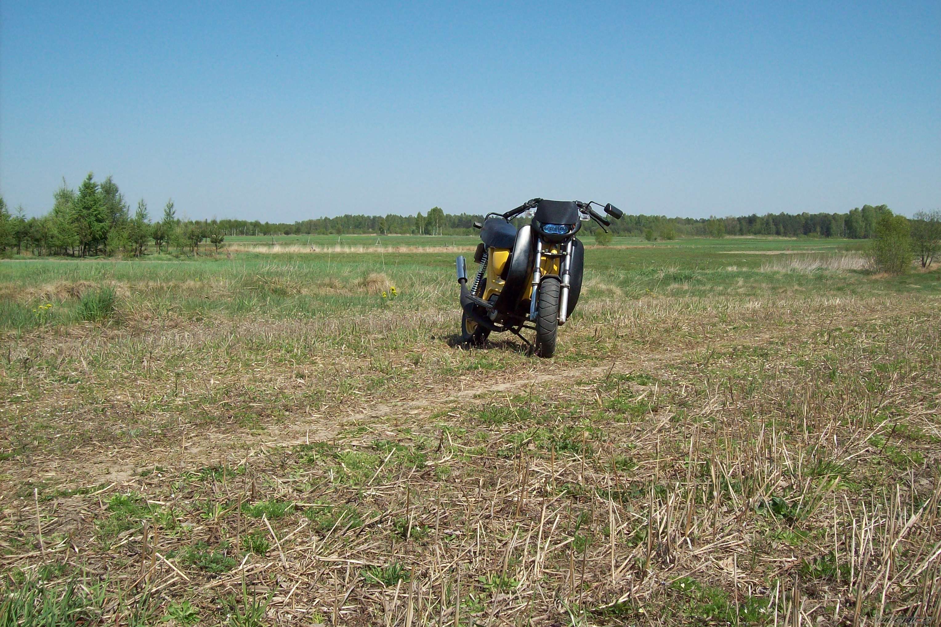 Photo 1647518