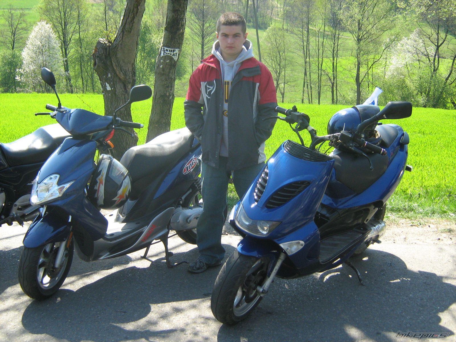 Photo 1647733