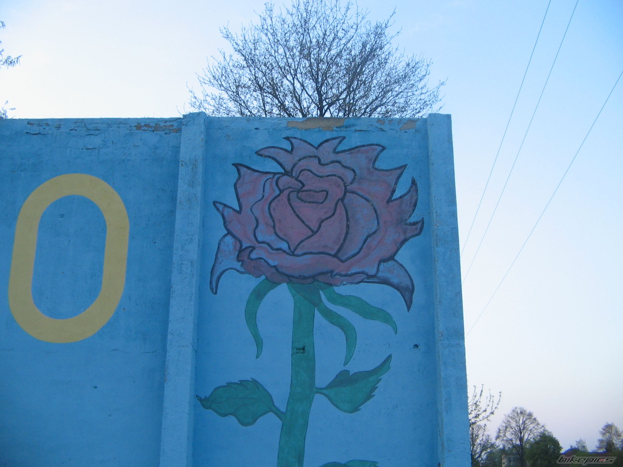 Photo 1647744