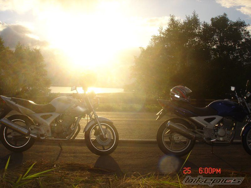 Photo 1647766