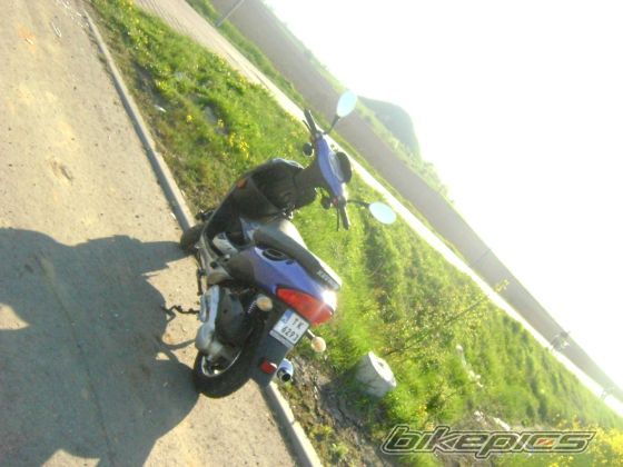 Photo 1647799