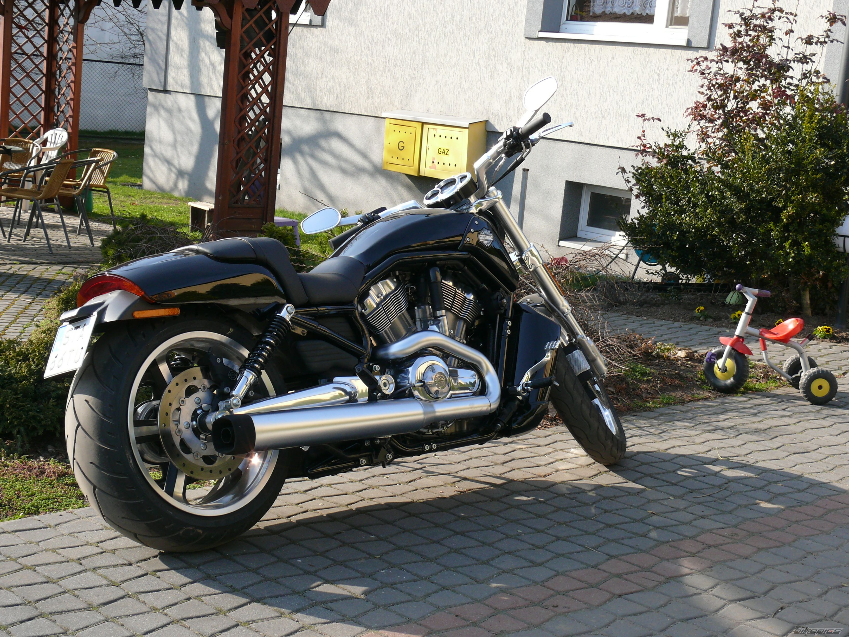 Photo 1647853
