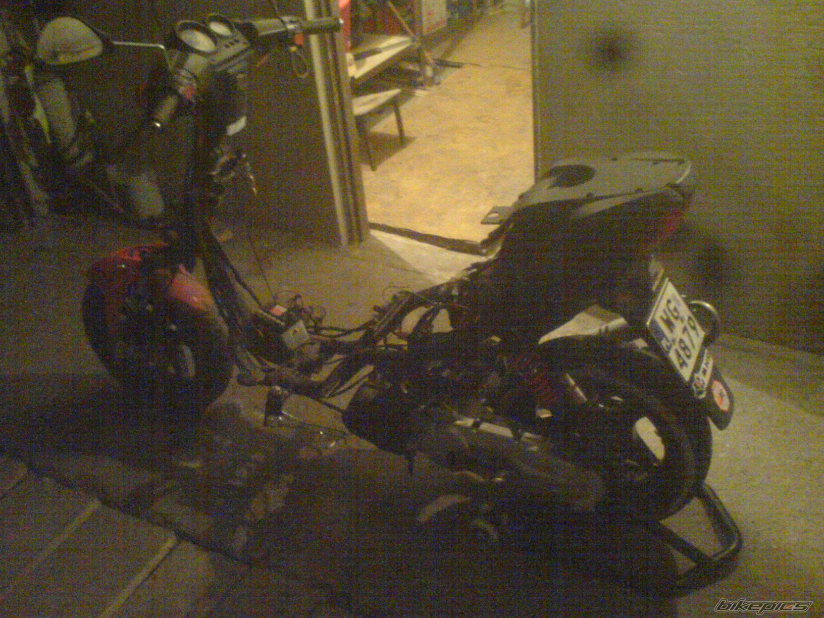 Photo 1647868