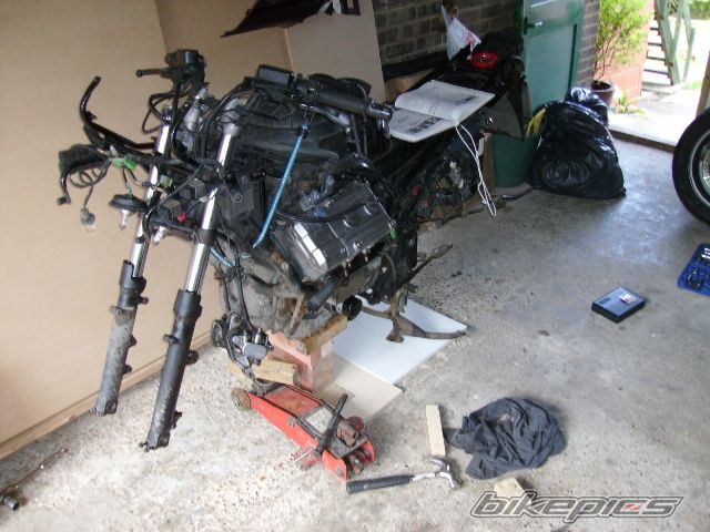 Photo 1647959