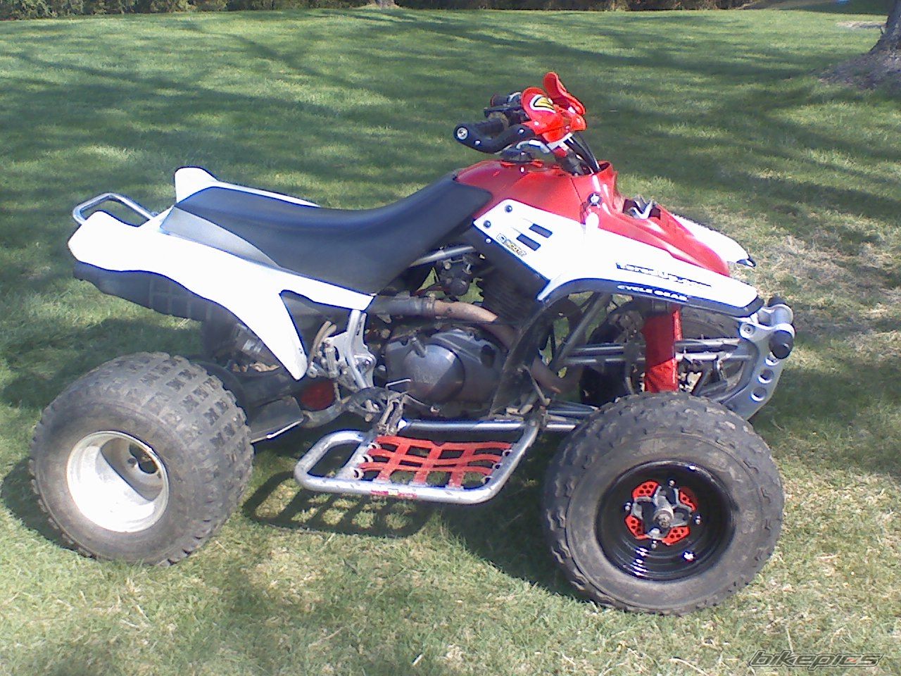 Photo 1647981